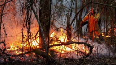 Un bombero rocía agua para combatir un incendio forestal en la ciudad de Sao Carlos, estado de Sao Paulo, Brasil, el 11 de septiembre de 2024.