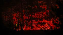 &nbsp;Bomberos trabajan para extinguir la vegetación en llamas durante un incendio forestal en la localidad de Florida, cerca de la ciudad de Concepción, Chile, el 20 de enero de 2026. Residentes del sur de Chile, devastados por cuatro días de incendios forestales mortales, pidieron ayuda el 20 de enero desde comunidades reducidas a escombros, mientras el humo persistía y los bomberos se preparaban para el regreso del calor.