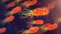 El fenómeno mundial de la resistencia antimicrobiana amenaza con destruir un siglo de progreso médico El fenómeno mundial de la resistencia antimicrobiana amenaza con destruir un siglo de progreso médico