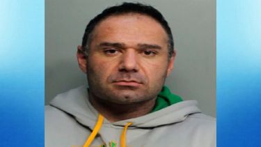 Brody Amir Moazzeni.