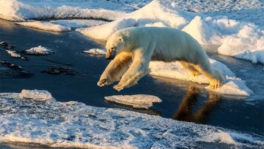 Calor acumulado en océanos crece a nivel récord por sexto año