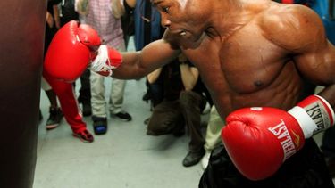El cubano podría volver al ring el 25 de noviembre en Miami