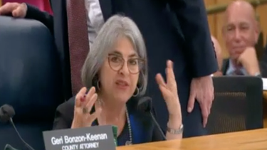 Daniella Levine Cava, alcaldesa de Miami-Dade, defiende su propuesta.&nbsp;