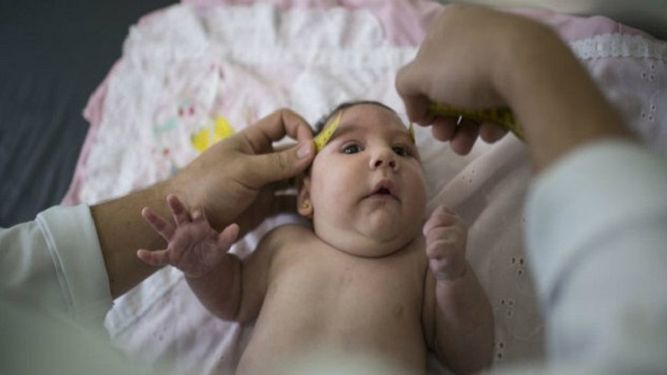 Al 8 de junio, los Centros de Control y Prevención de Enfermedades (CDC) de EE.UU. detectaron en el país cerca de 700 casos de zika (CORTESÍA)