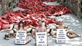 Un centenar de activistas y simpatizantes de AnimaNaturalis y PETA protestan en la plaza de toros de Pamplona contra los espectáculos taurinos que la próxima semana tendrán lugar con motivo de las fiestas de San Fermín. (EFE)