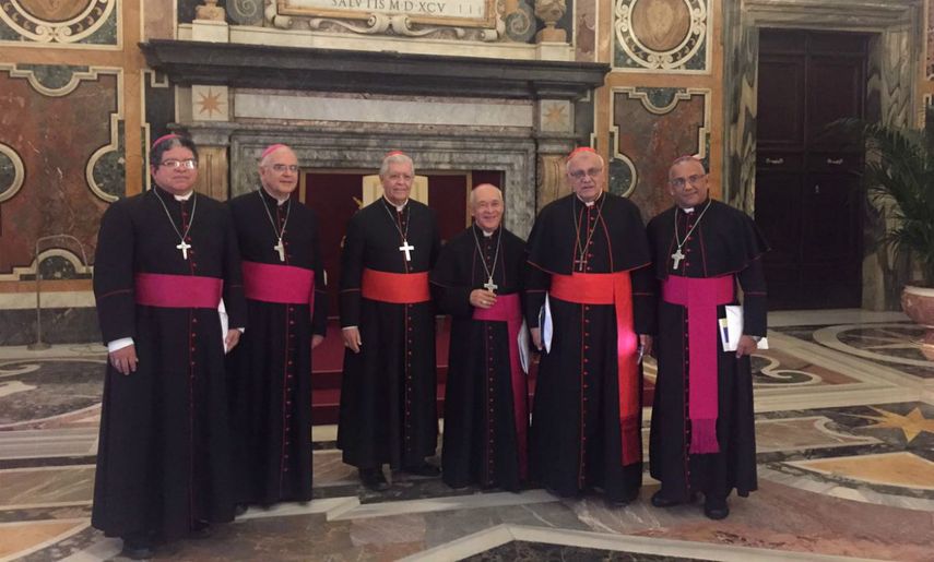 La audiencia comenzó a las 10.00 hora local, en el palacio pontificio, donde se celebran las reuniones oficiales, y estaba previsto que tuviese una duración de una media hora debido a la agenda del Papa.