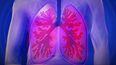 Pulmones&nbsp;