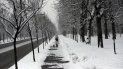 La tormenta invernal en Belgrado el 17 de enero del 2021. La tormenta invernal en Belgrado el 17 de enero del 2021.