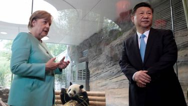 Agradezco a China todo lo que ha hecho por la conservación del medio ambiente. Vamos a hacer todo lo posible para que los dos pandas se sientan bien en Berlín, agregó Merkel tan solo unos minutos antes de que se corriera una cortina y se pudiese contemplar a los animales tras una cristalera comiendo bambú.