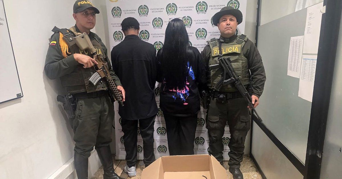Detienen en Colombia a dos traficantes que transportaban primates en su ropa interior