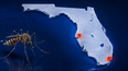 Dos de las infecciones fueron identificadas en el condado Hillsborough y otra en Miami-Dade