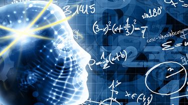 Algunas de las áreas en las que destacan los savants son el arte, especialmente en la música, la pintura y la escultura; así como en el cálculo de fechas, ellos pueden memorizar calendarios completos y recordar datos referentes a cada uno de esos días.