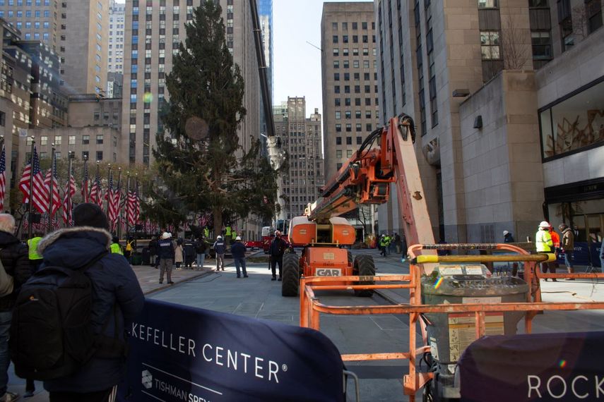 Un abeto noruego que será el árbol de Navidad del Rockefeller Center 2020 es preparado para ser colocado en una plataforma en la plaza neoyorquina el sábado 14 de noviembre de 2020.