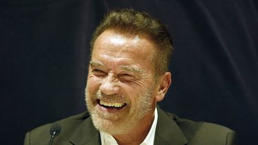 El actor&nbsp;Arnold Schwarzenegger.
