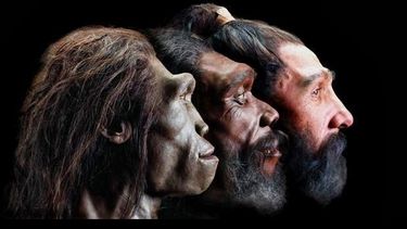 Muchos especialistas coinciden en que nuestro proceso evolutivo aún no ha terminado.(Archivo)