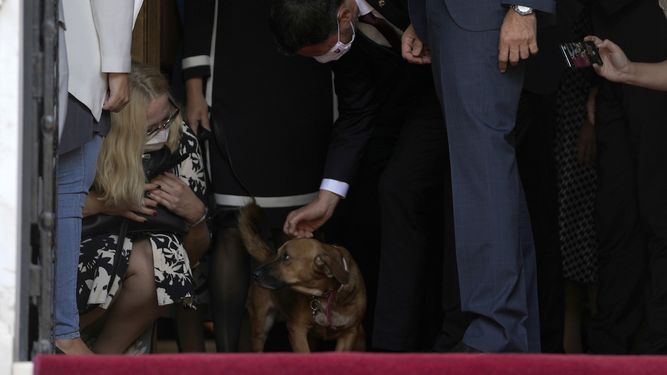 El primer ministro eslovaco Eduard Heger acaricia a Peanut, el perro de su colega griego Kyriakos Mitsotakis al salir de la mansion Maximos en Atenas, Grecia, jueves 30 de septiembre de 2021. AP Thanassis Stavrakis