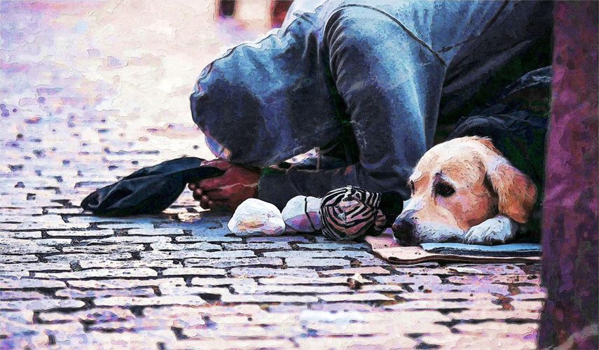 Persona en situación de mendicidad&nbsp;