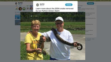 Captura de pantalla de la cuenta de Twitter de&nbsp;FL Fish & Wildlife Conservation Commission.