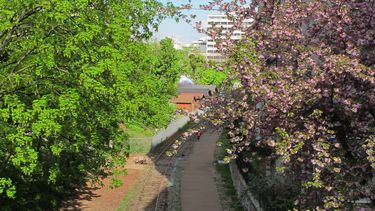 &nbsp;El jardín de Anne Frank está escondido en el barrio de Marais.