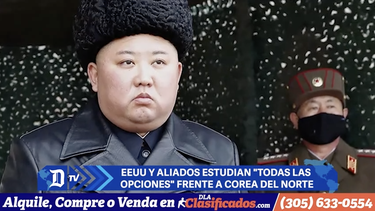 El Diario en 90 segundos