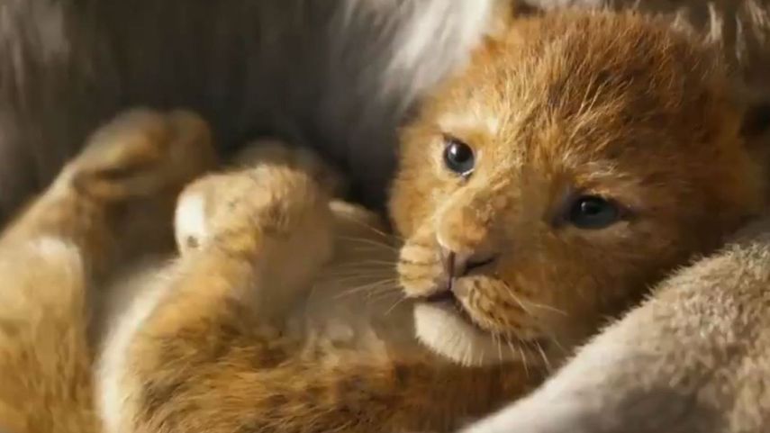 La película es Live action.&nbsp;