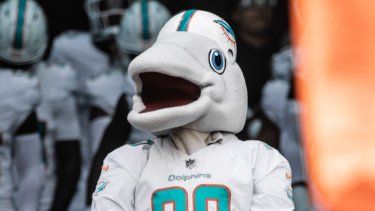 TD mascota de los Miami Dolphins&nbsp;