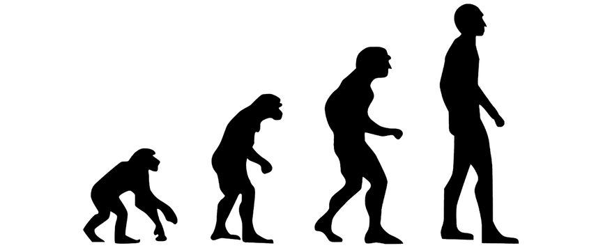 Nueva teoría sobre los múltiples orígenes de la vida