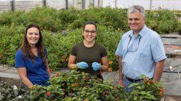 La profesora de horticultura ambiental Sandra Wilson (izquierda), la estudiante de doctorado Vanesa Rostán y Chris Wilson, director interino del departamento de ciencias del suelo, el agua y los ecosistemas de UF/IFAS. 