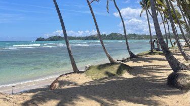 Kilómetros de playas vírgenes en Las Terrenas, República Dominicana. 