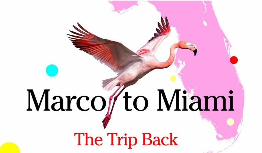 Flyer de la exposición Marco to Miami del Museo de Arte Contemporáneo de las Américas.&nbsp;&nbsp;