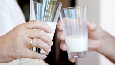 El vaso de leche es bueno para evitar la osteoporosis&nbsp;