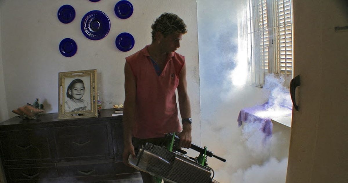 “Hay tremendo brote de dengue”, alertan los cubanos