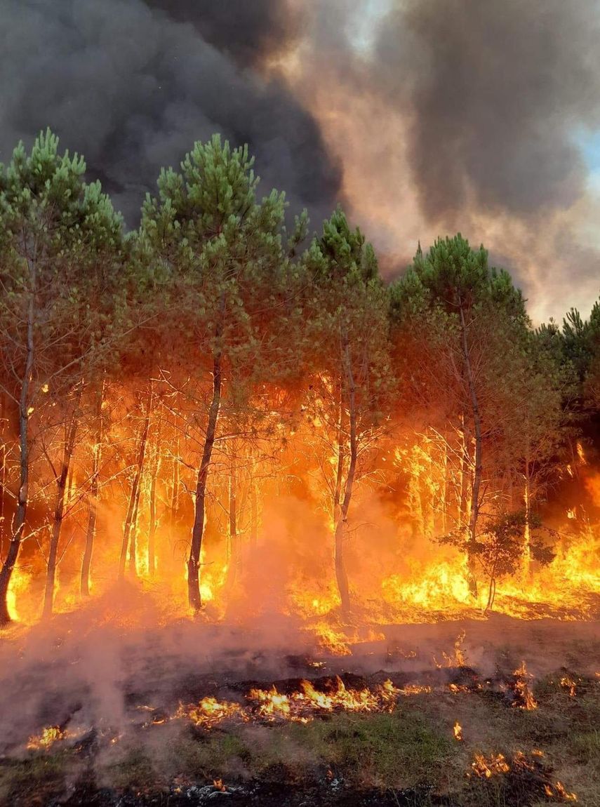 Esta foto proveída por la brigada de bomberos de la región francesa de Gironda muestra las llamas de un incendio forestal en Saint Magne, al sur de Burdeos, el 10 de agosto del 2022.