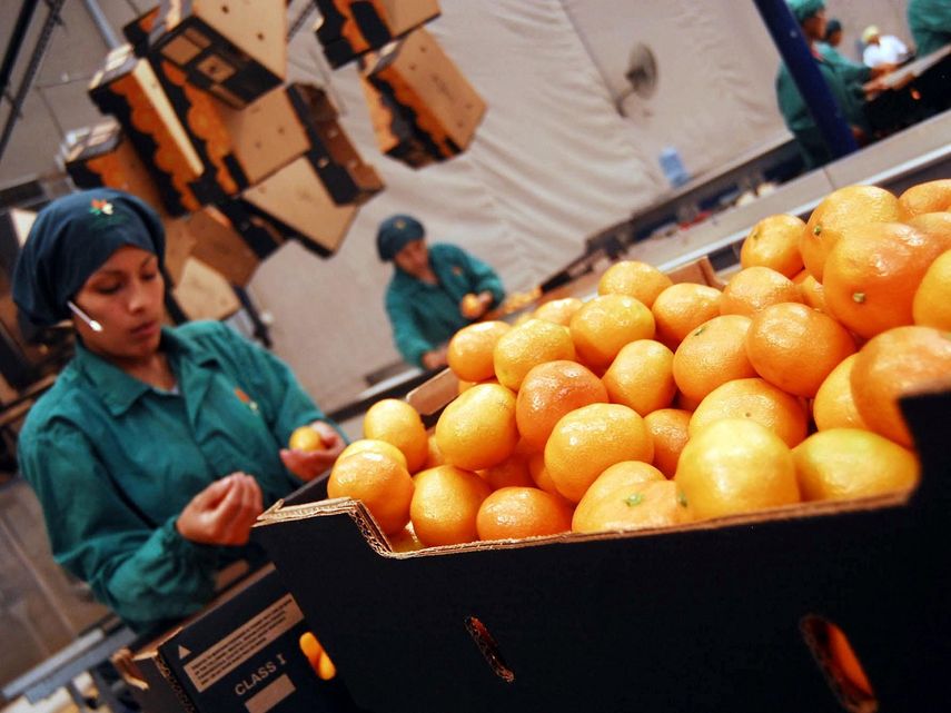 Según datos de la Organización Internacional del Trabajo (OIT), la tasa de participación de las mujeres en la fuerza laboral de América Latina y el Caribe se ubica en el 49.5%.