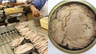 El organismo emitió el pasado 18 de noviembre una primera Alerta sanitaria internacional tras confirmarse la presencia de parásitos en conservas.