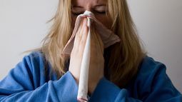 Imagen referencial. Imagen referencial.