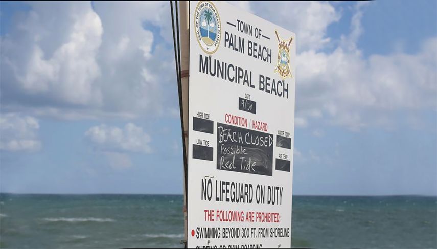El ayuntamiento de Palm Beach colocó letreros en los que ponen Playa cerrada por posible marea roja.&nbsp;