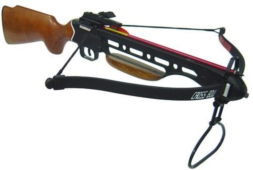 Según el informe policial, Kollias admitió que había disparado dos veces al gato con la ballesta.