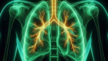 El Día Mundial de la Neumonía es el 12 de noviembre