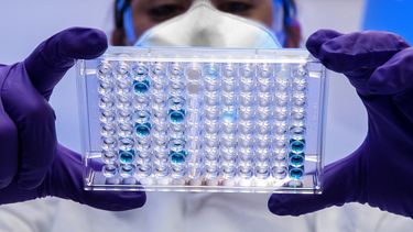 Imagen referencial.&nbsp;