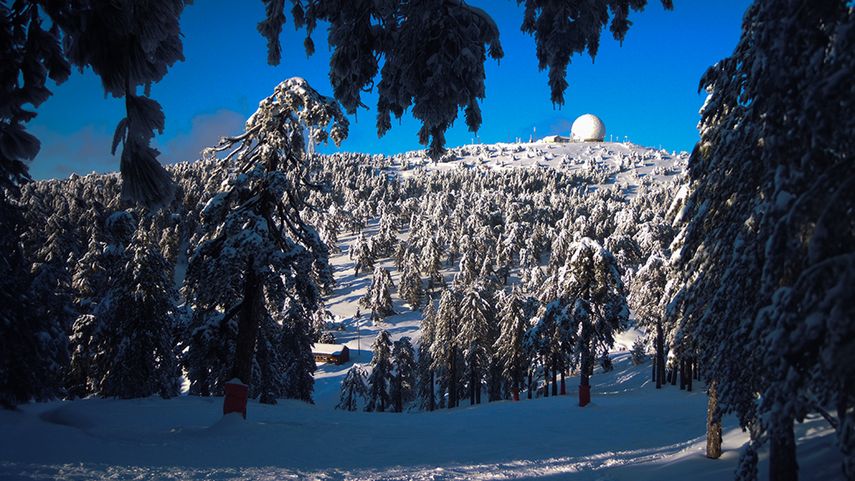 Montañas Trodos, invierno, Chipre.