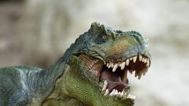 Los dinosaurios primitivos ya vivían en manada