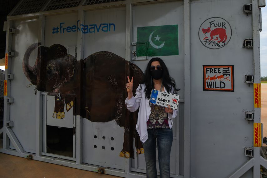 Tras años de maltrato en un zoo de Pakistán, el elefante más solitario del mundo llegó a Camboya este lunes, donde fue recibido por la superestrella estadounidense Cher, que lo acompañará a un santuario que alberga a otros paquidermos.