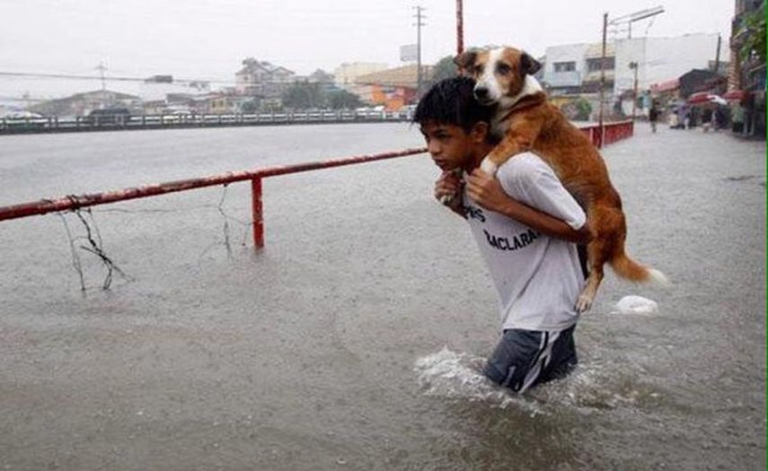 Jóven rescata a un perro de las fuertes lluvias  (CORTESIA)