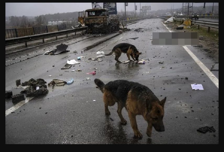 Las tropas ucranianas al recuperar Bucha descubrieron decenas de cadáveres esparcidos en las calles. Archivo 2022 &nbsp; &nbsp;
