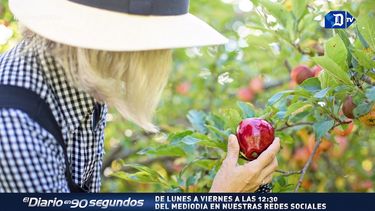 dinamarca se convertira en 2020 en el 1er pais 100% organico del mundo