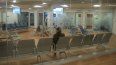 Sala de espera de una de las oficinas del Servicio de Inmigración y Ciudadanía de los Estados Unidos.