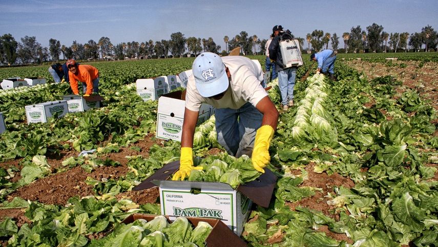 La investigación reitera que los flujos de trabajadores son impulsados principalmente por la diferencia de ingresos entre países.