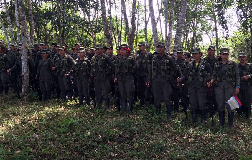 Miembros de las Fuerzas Armadas Revolucionarias de Colombia.&nbsp;