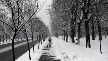 La tormenta invernal en Belgrado el 17 de enero del 2021.&nbsp;